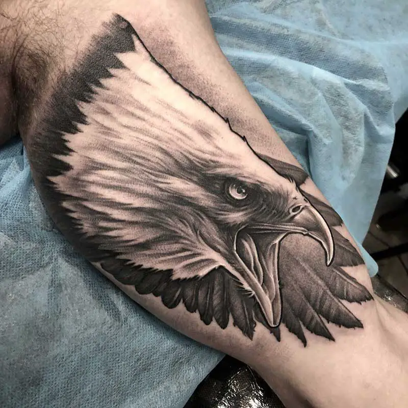 bald-eagle-scratch-tattoos-1
