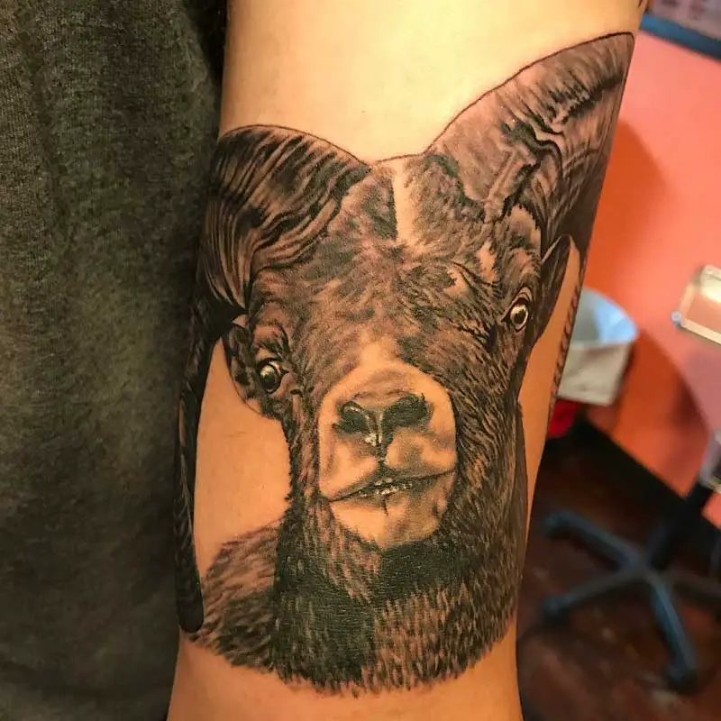 big-horn-ram-tattoo-2