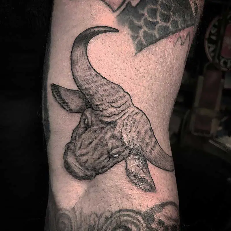 cape-buffalo-tattoo--1