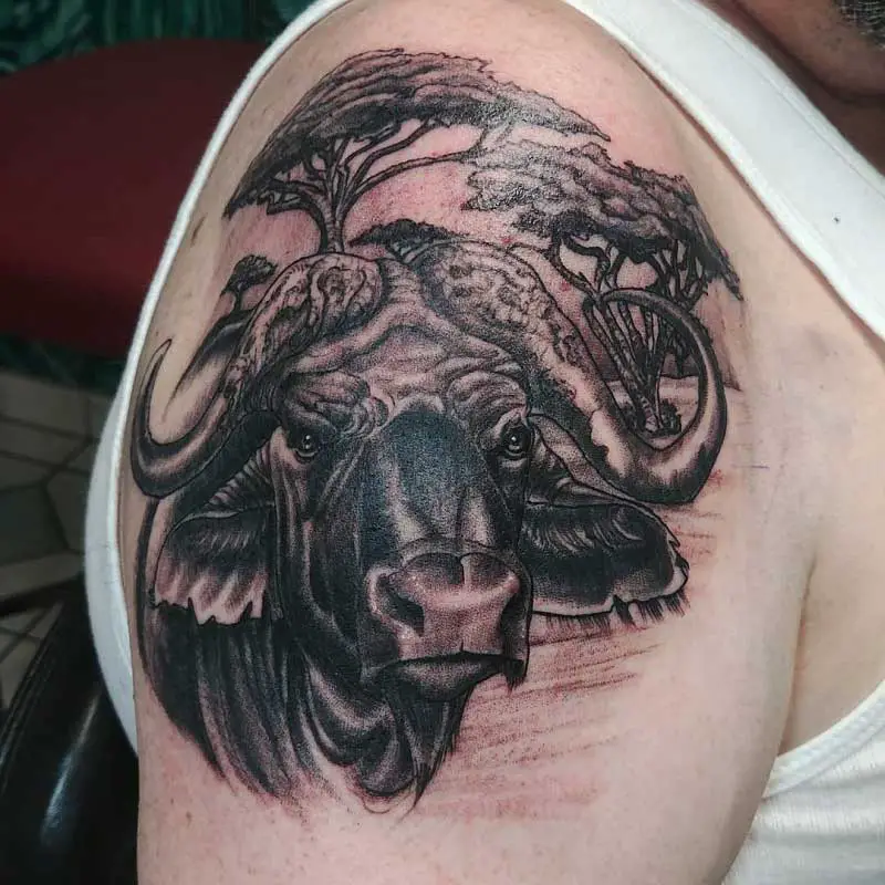 Skinwork Tattoo  Piercing  most amazing buffalo tattoo done by our  resident Artist Alejandro jagotattoo  visit our shop to book YOUR  appointment skinwork skink zurich niederdorf rosengasse tattooshop  tattoo tattooed 