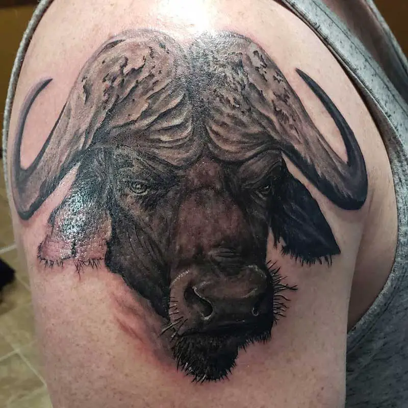 cape-buffalo-tattoo--3