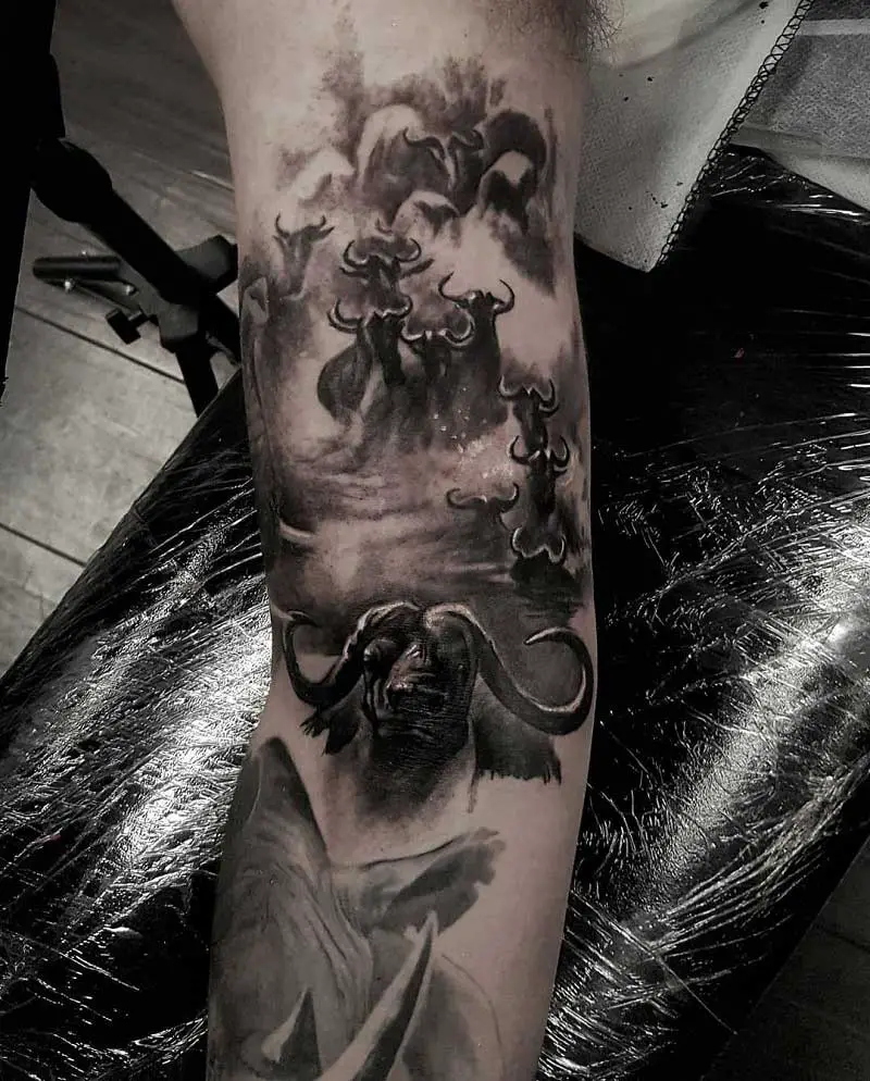 cape-buffalo-tattoo--4