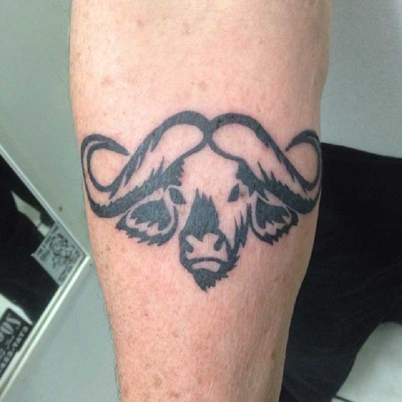cape-buffalo-tattoo--5