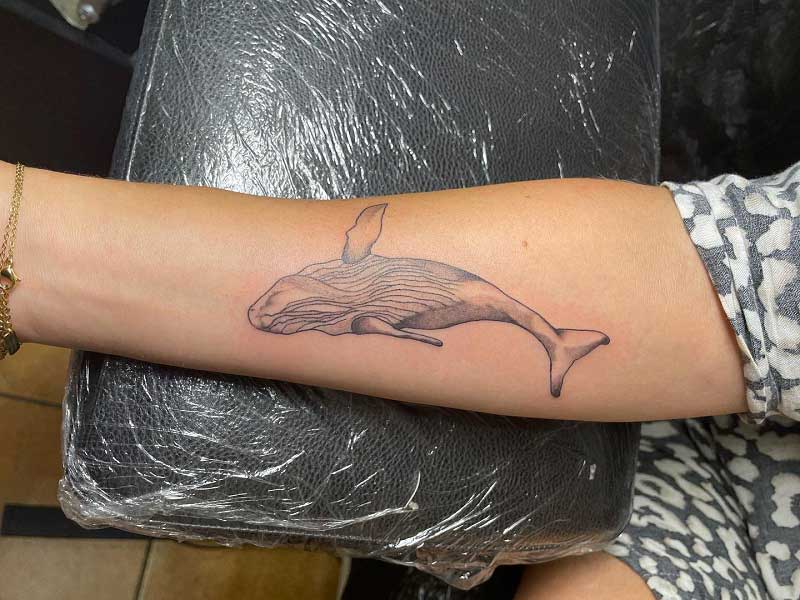 dead-whale-tattoo-2