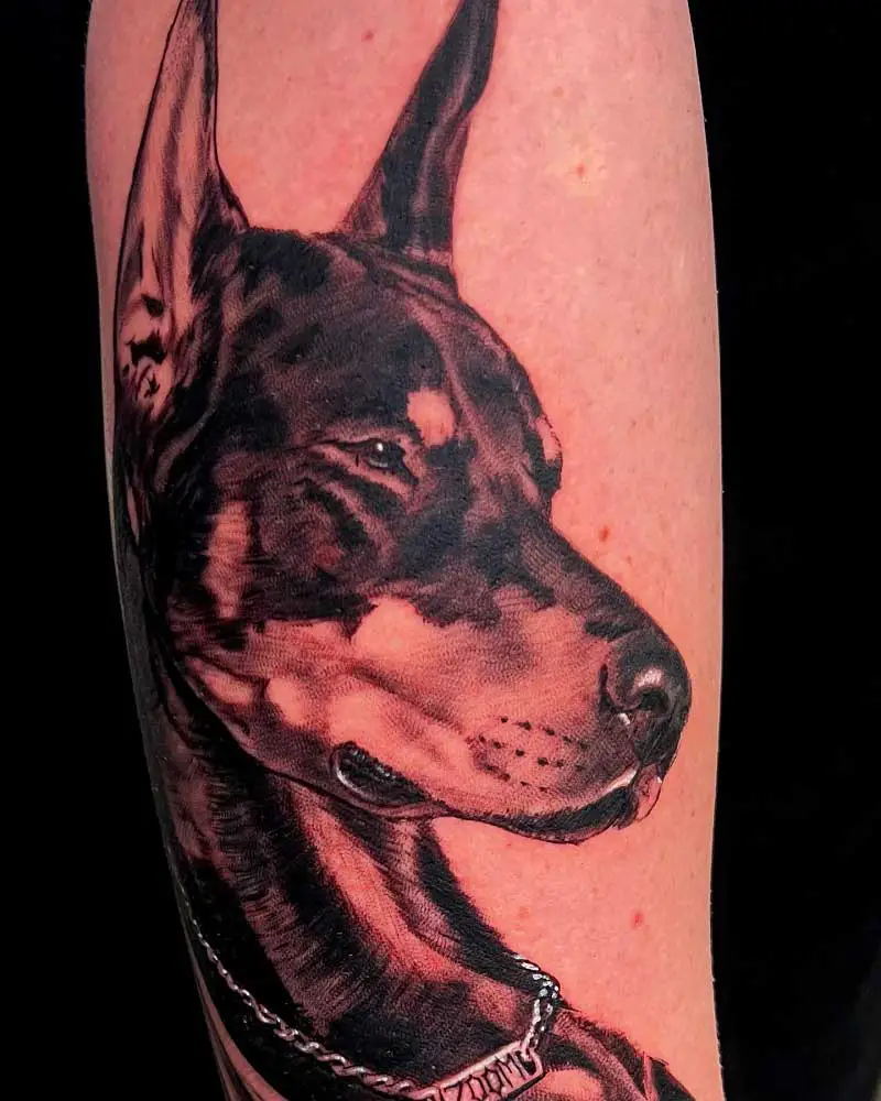 doberman-portrait-tattoo-4