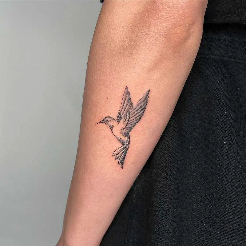 67 Awesome Humming Bird Tattoo designs for Men and Women 