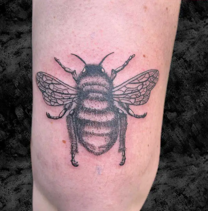 fluffy-bumble-bee-tattoo-1