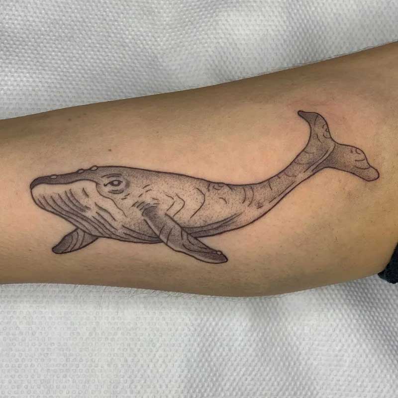 great-whale-tattoo--1