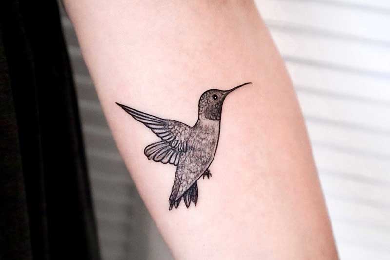 greywash-humming-bird-tattoo-3