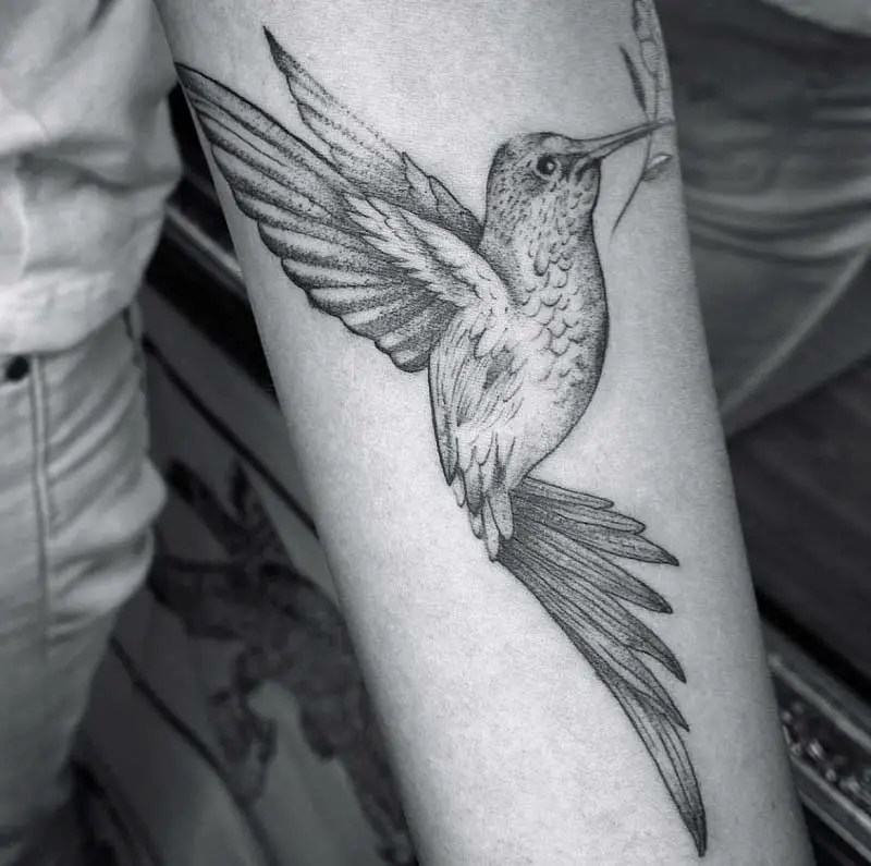 mexican-humming-bird-tattoos-2
