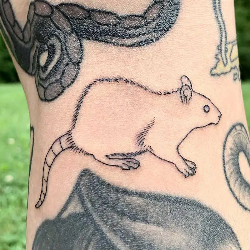 minimalist-rat-tattoo--2