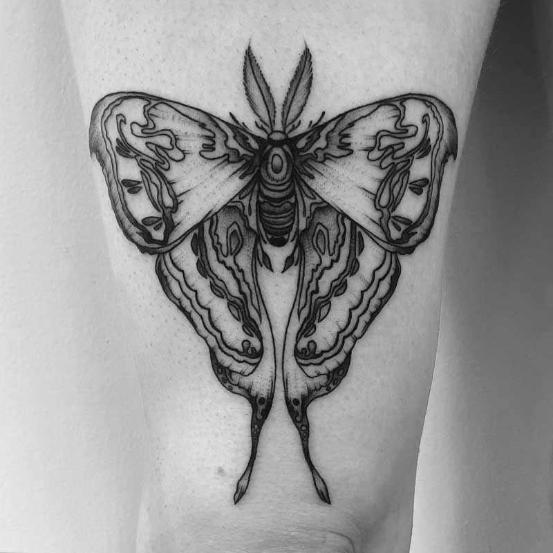 queen-bee-rules-tattoo--3