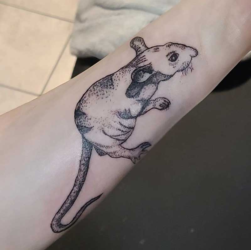 rat-a-tat-tattoo--3