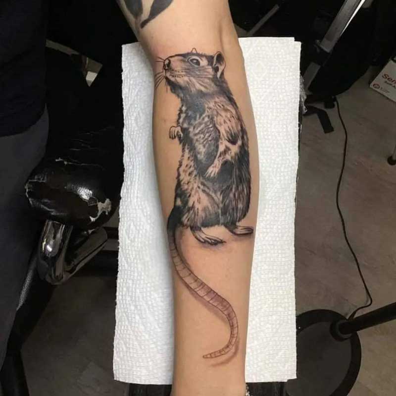 rat-daddy-tattoo--2