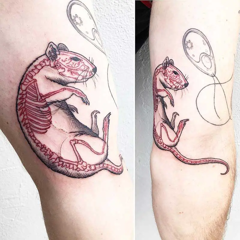 rat-skeleton-tattoo--1