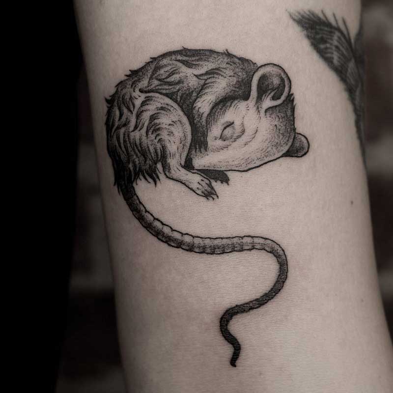 rat-tail-tattoo-2