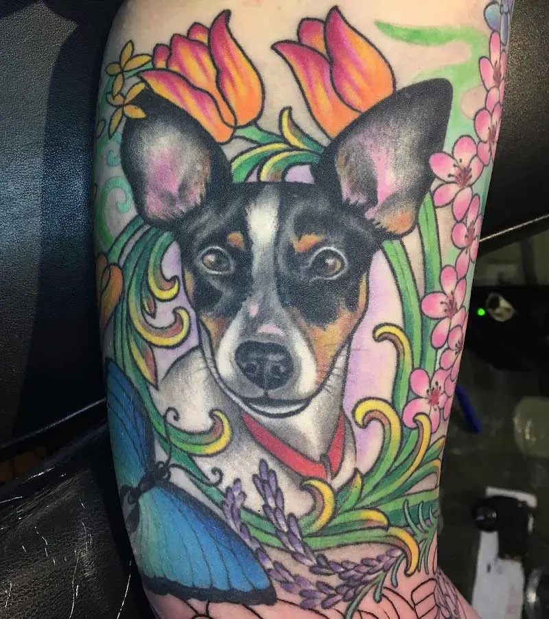 rat-terrier-tattoo--1