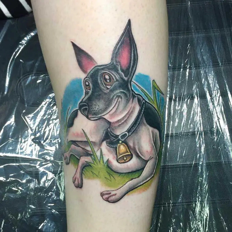 rat-terrier-tattoo--2