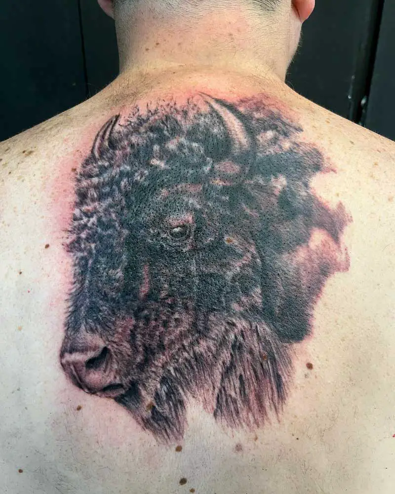 realistic-buffalo-tattoo--2