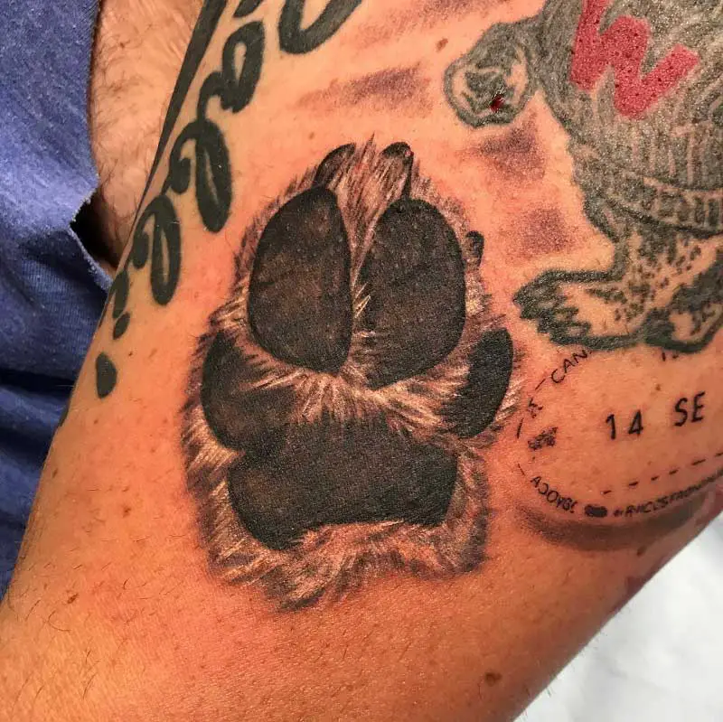 realistic-dog-paw-tattoo--3