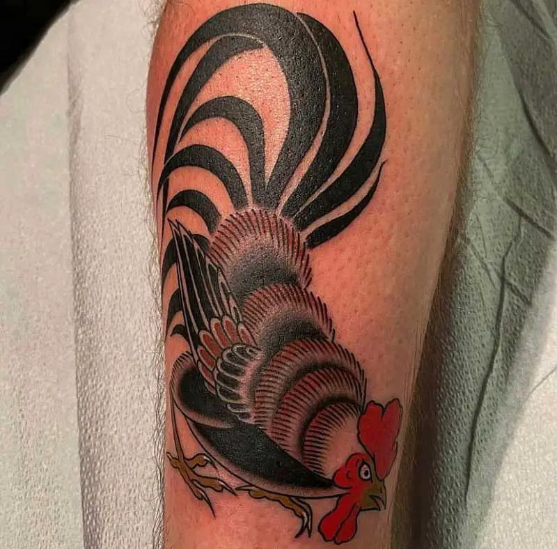 rooster-tail-tattoo-1