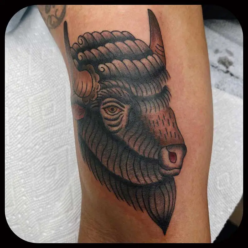 traditional-buffalo-tattoo--1