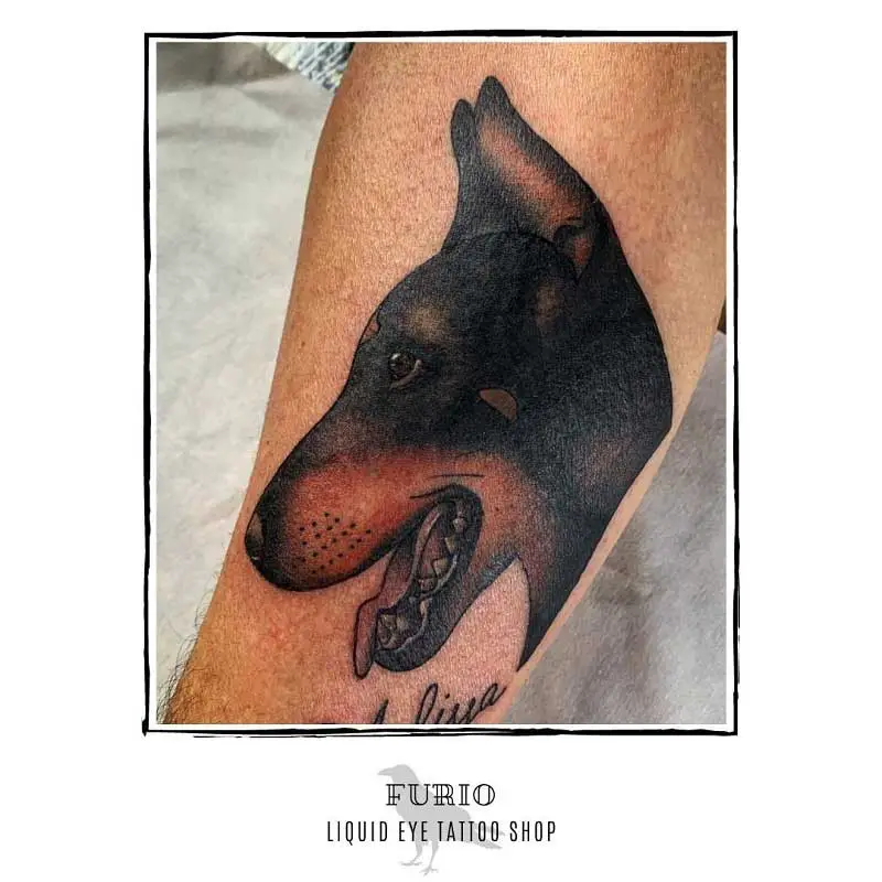 traditional-doberman-tattoo-3