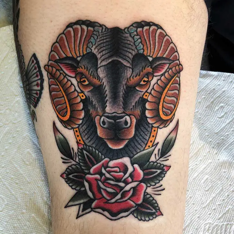 Neotraditional ram portrait tattoo on the torso