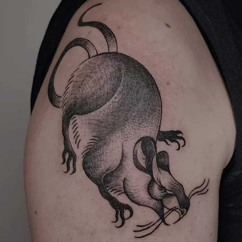 traditional-rat-tattoo--2