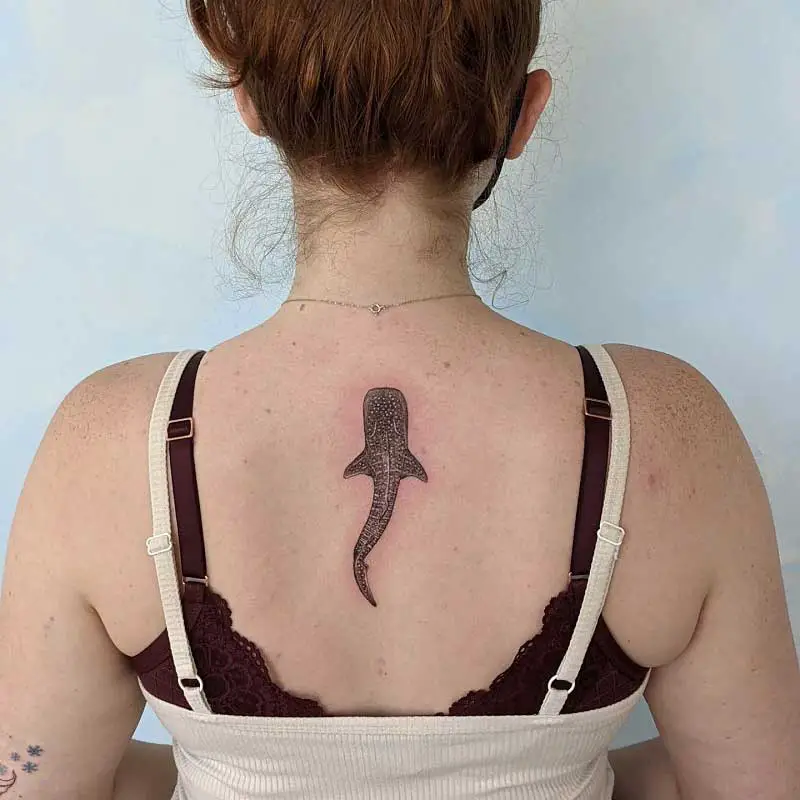 whale-back-tattoo-2