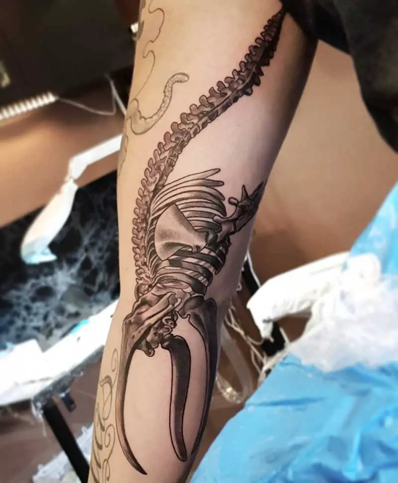 whale-skeleton-tattoo-3