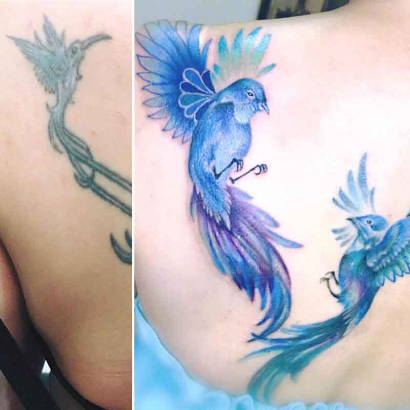 Bird Cover Up Tattoo 1