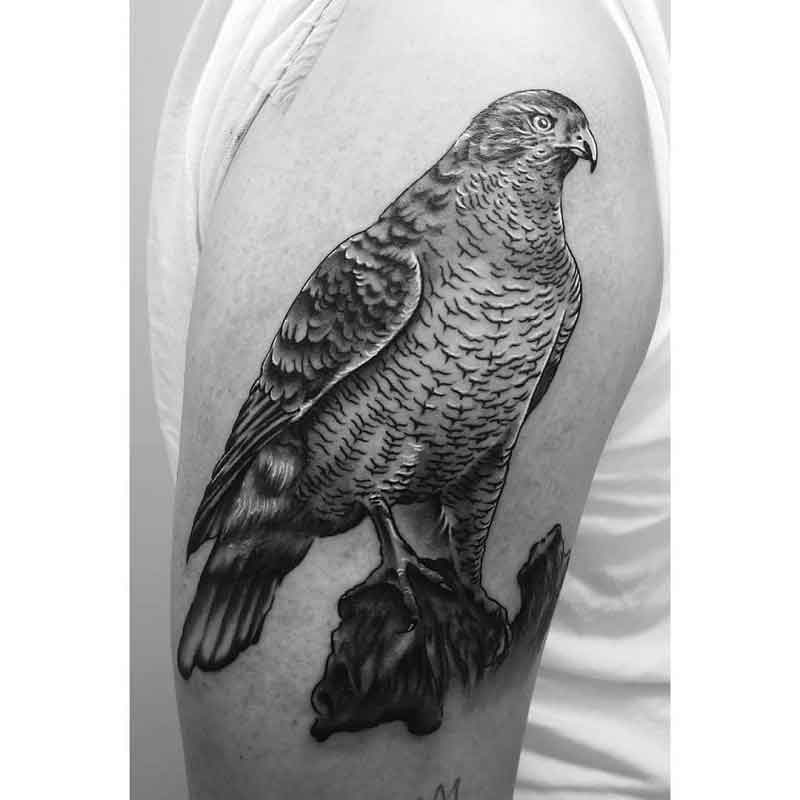 Chicken Hawk Tattoo 2