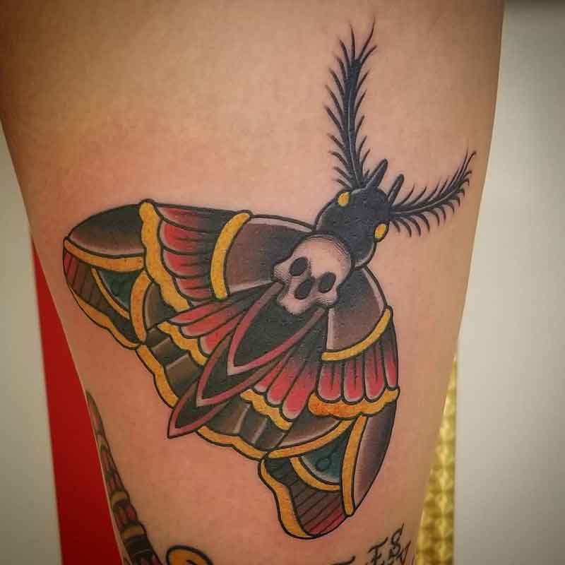 Death Head Hawk Moth Tattoo 2