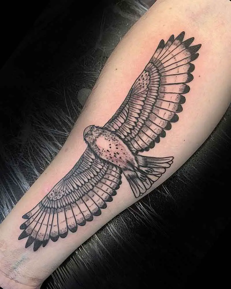 Flying Hawk Tattoo 2