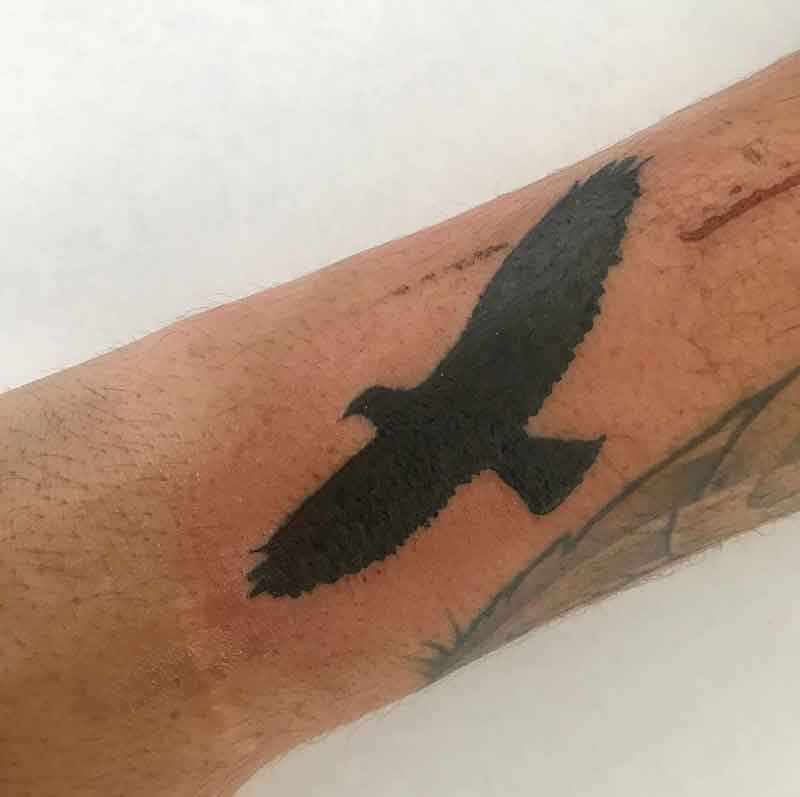Hawk Silhouette Tattoo 1