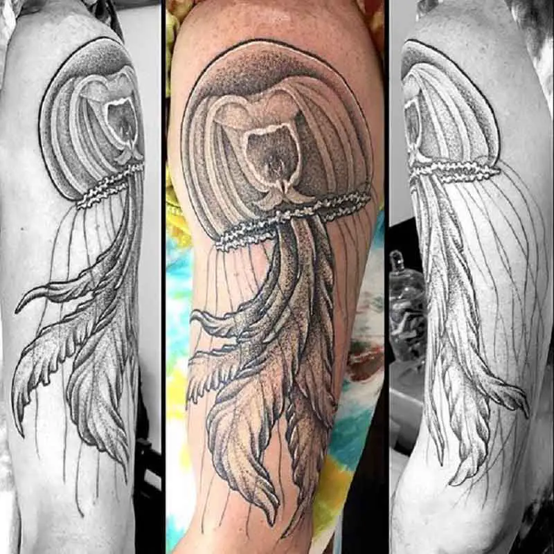 Immortal Jellyfish Tattoo 2