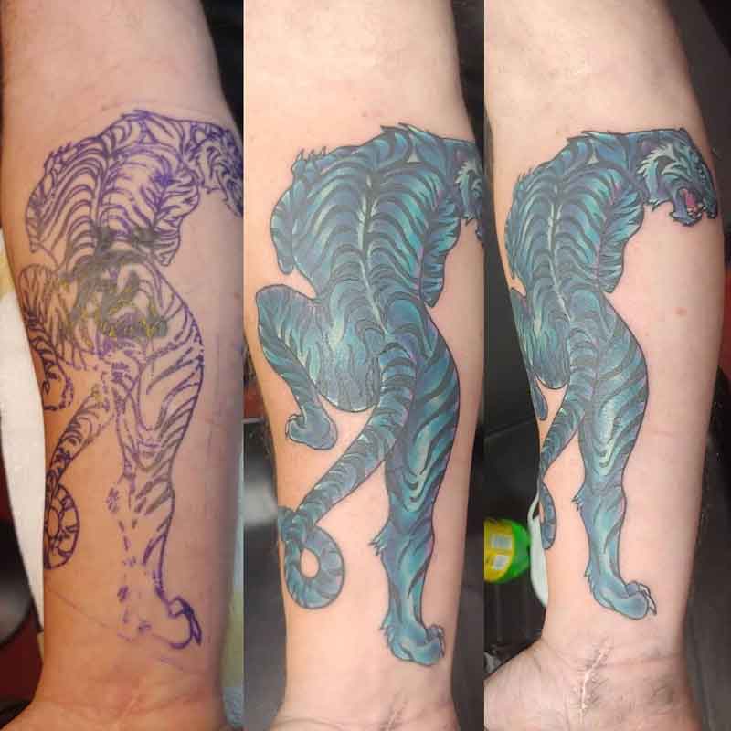 Tiger Cover Up Tattoo 2