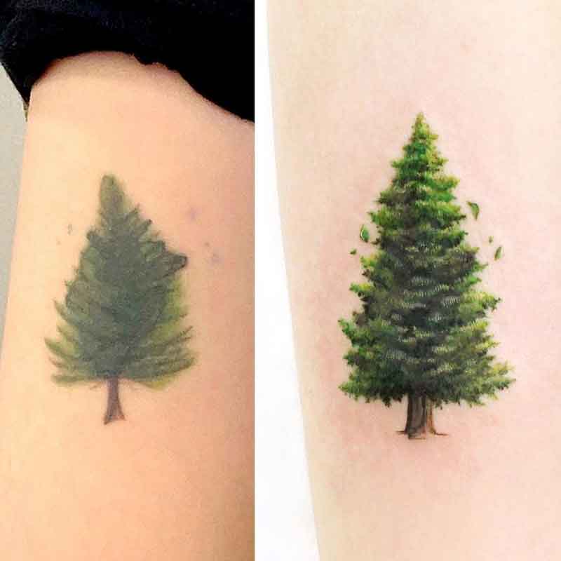 Tree Cover Up Tattoo 2