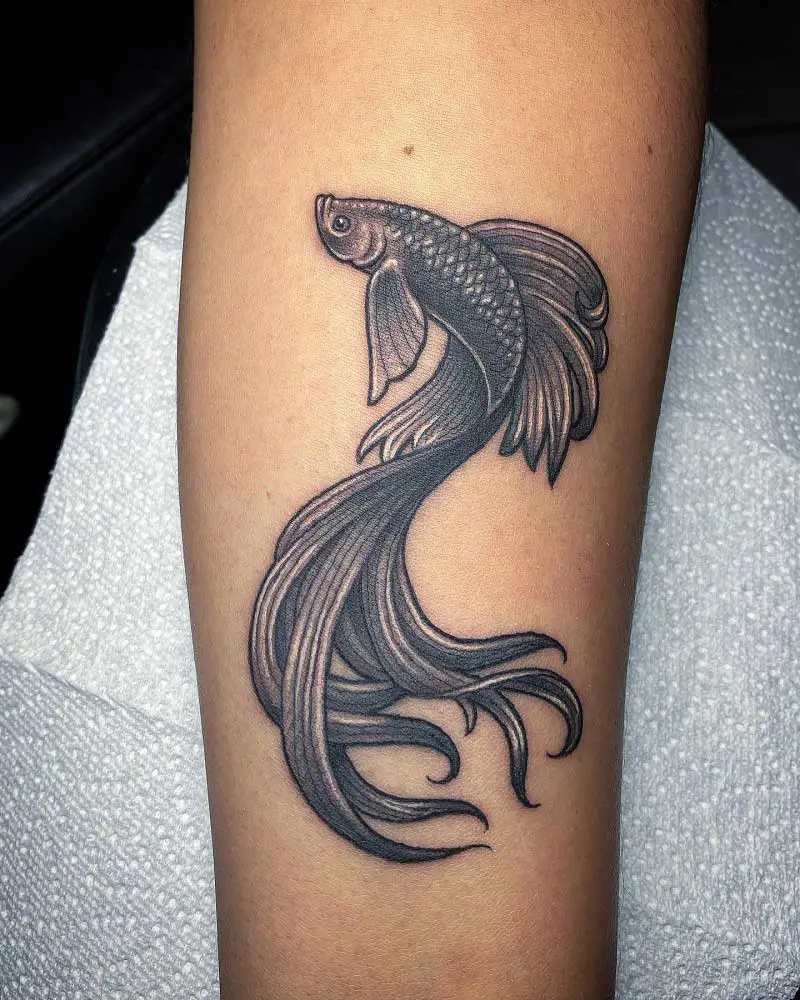 betta-fish-tattoo-2
