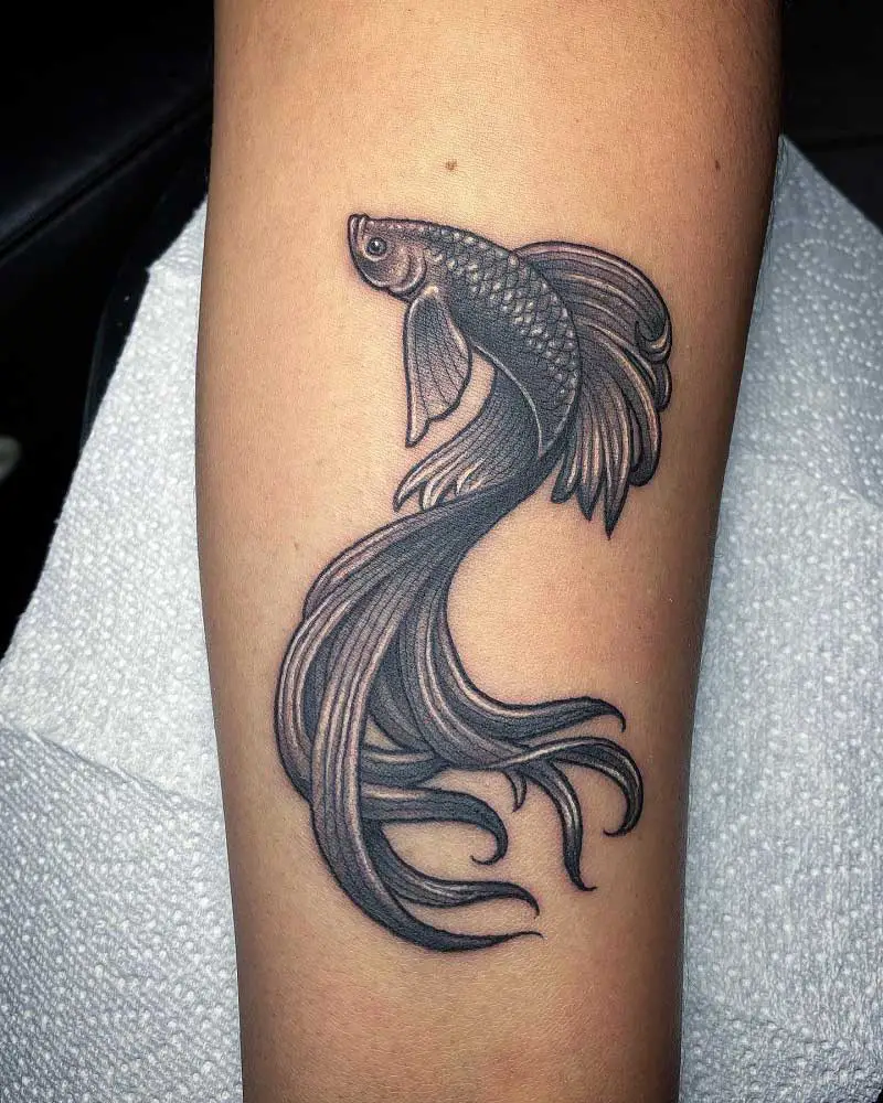 51 Cute Fish Tattoo Designs Best of 2022  Trending Tattoo