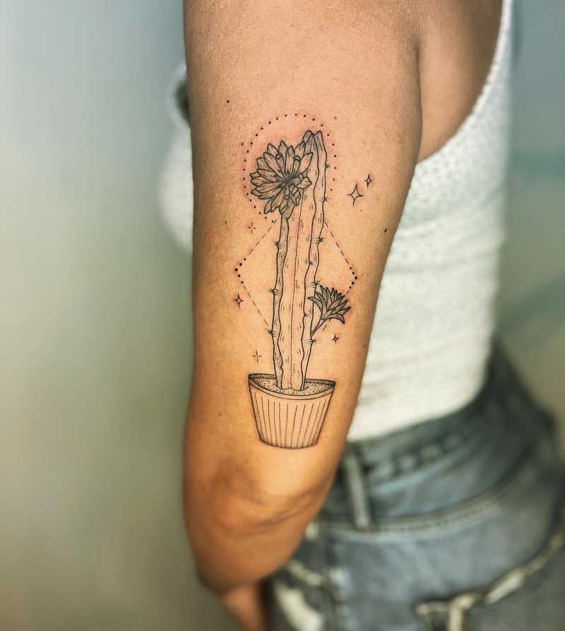 The 36 Coolest Cactus Tattoos To Ever Exist  TattooBlend