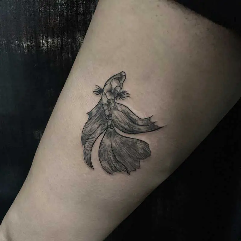 chinese-fish-tattoo-3