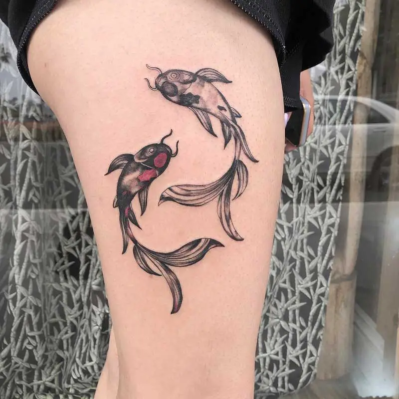 coy-fish-tattoo-3
