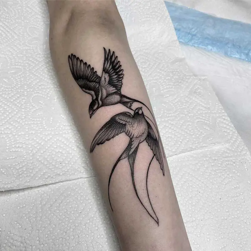 detailed-swallow-tattoo-2