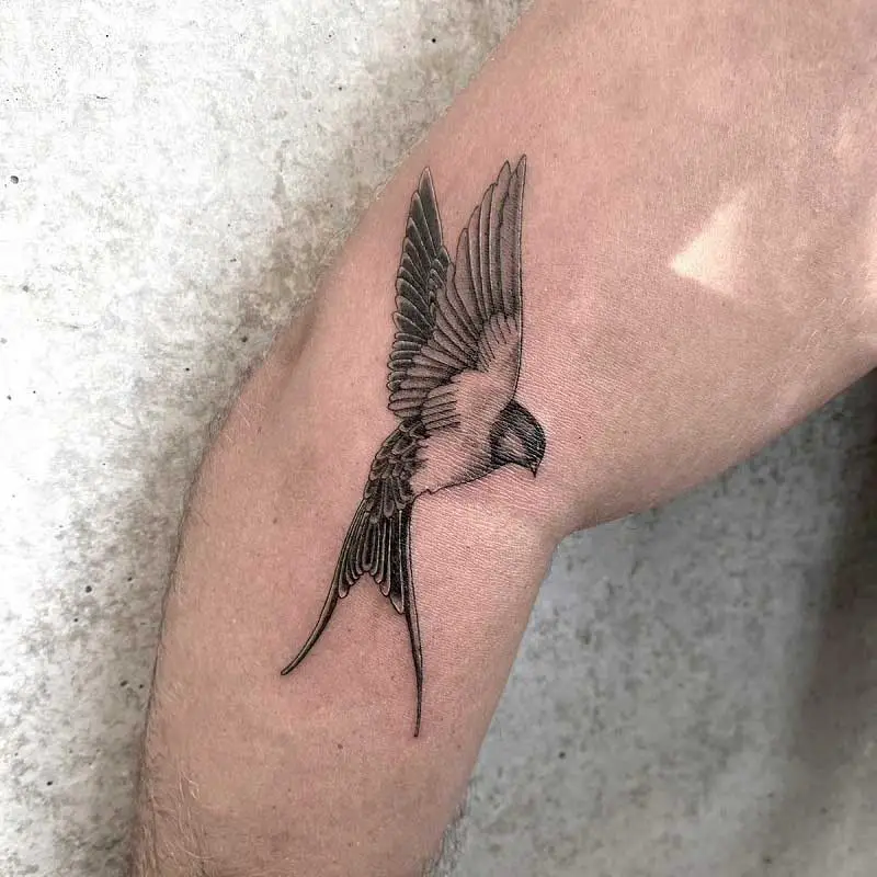 detailed-swallow-tattoo-3