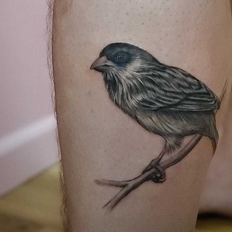grand-sparrow-tattoo-2