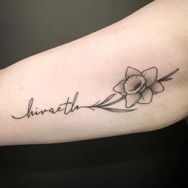 hiraeth-daffodil-tattoo-1