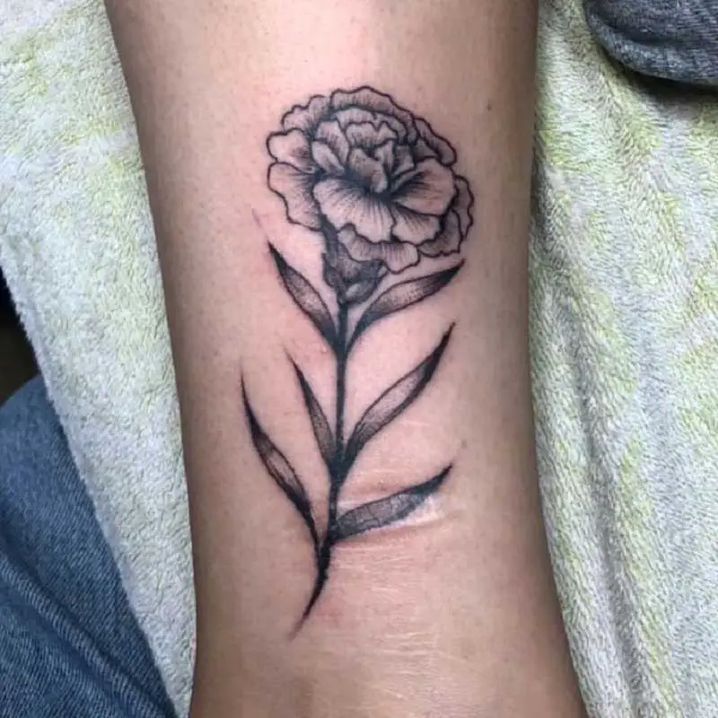 japanese-carnation-tattoo-1