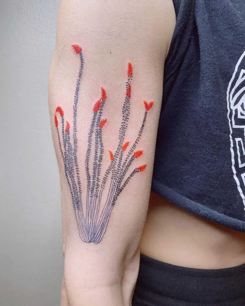 ocotillo-cactus-tattoo-1